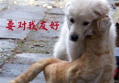 怎样的网站结构对百度搜索引擎友好