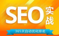 怎么快速学好无锡SEO？